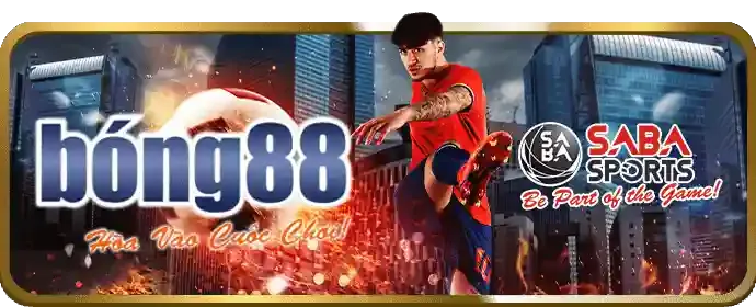 Tin tức thị trường cá cược WVIP